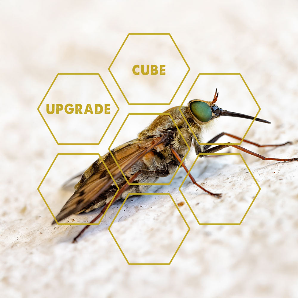 Insect-Bloodsucker | Upgrade Cube