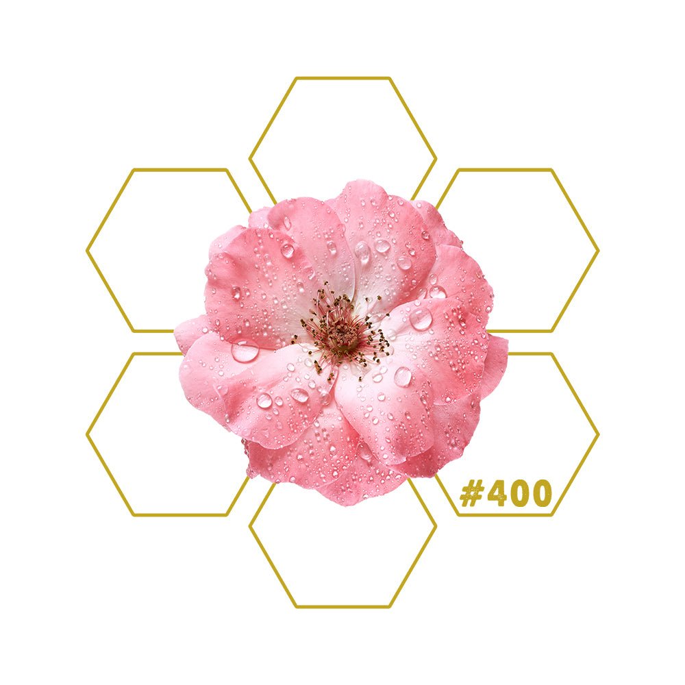 ABUNDANCE | Wealth | Add - on #400 - LuminoSana