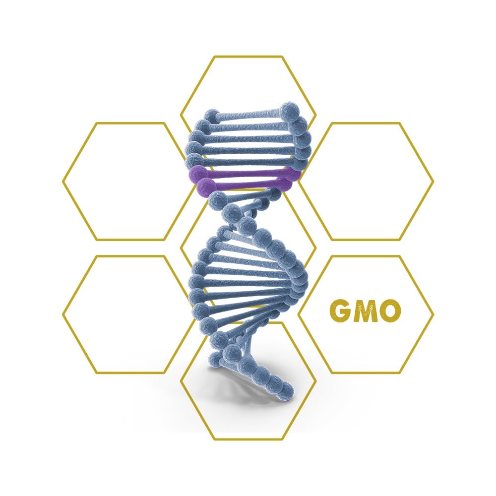 Animal - Growth | GMO - Upgrade Cube - LuminoSana