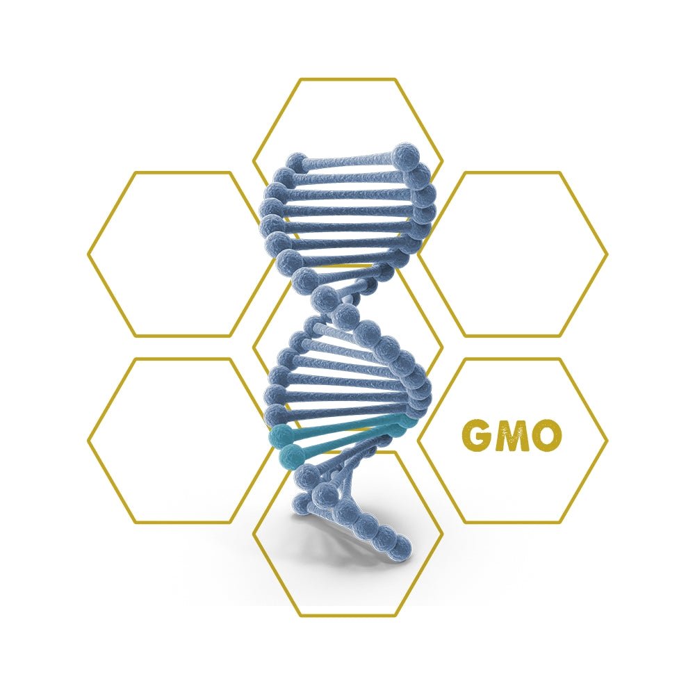 Bacterial - Resistance | GMO - Upgrade Cube - LuminoSana