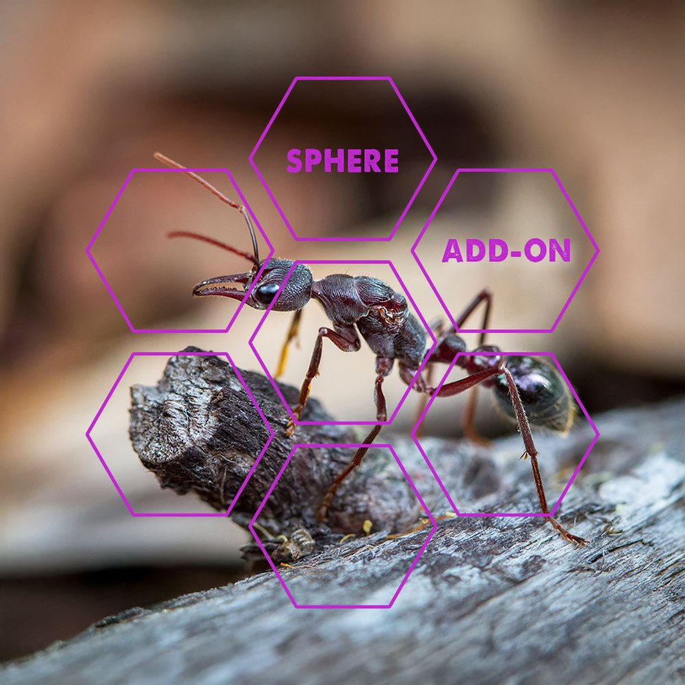 Biting - Insect | Add - on 4300 | Sphere only - LuminoSana