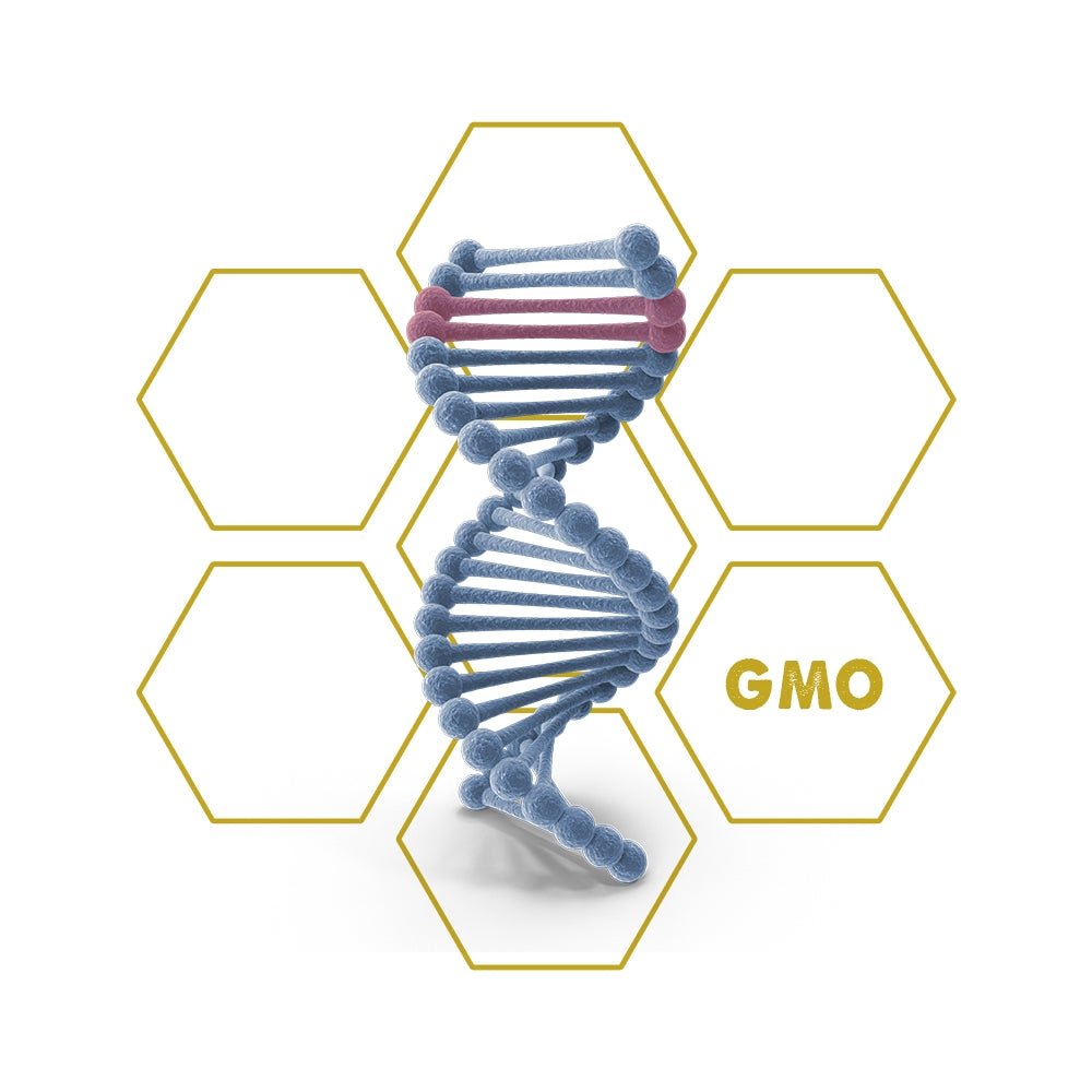 Bt - Toxin | GMO - Upgrade Cube - LuminoSana