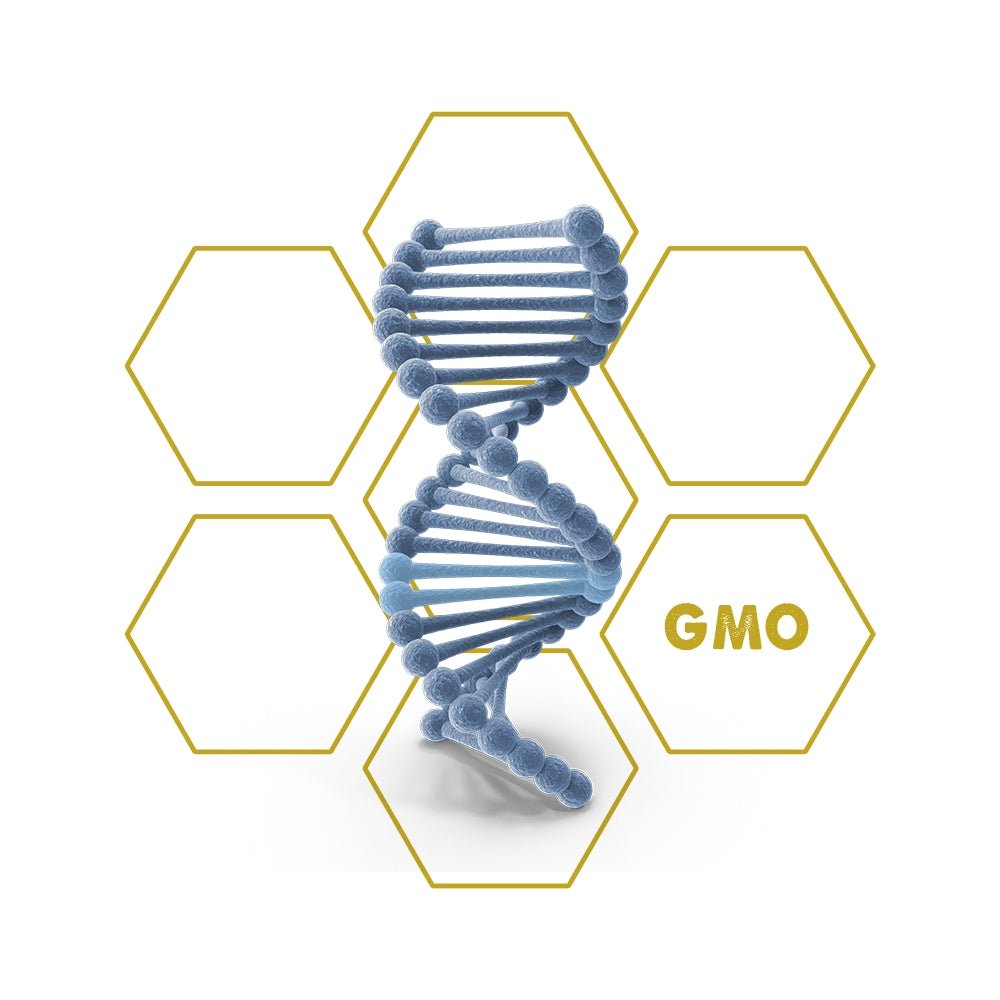 Environmental | GMO - Upgrade Cube - LuminoSana