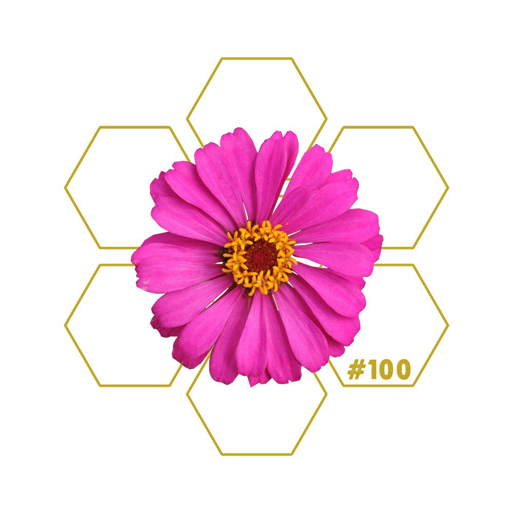 ESPRESSO | Caffeine | Add - on #100 - LuminoSana