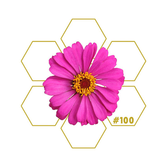 ESPRESSO | Caffeine | Add - on #100 - LuminoSana