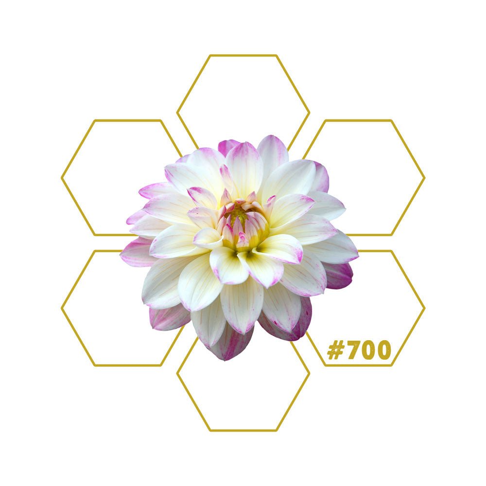 FEED WELL | Pet Food | Add - on #700 - LuminoSana