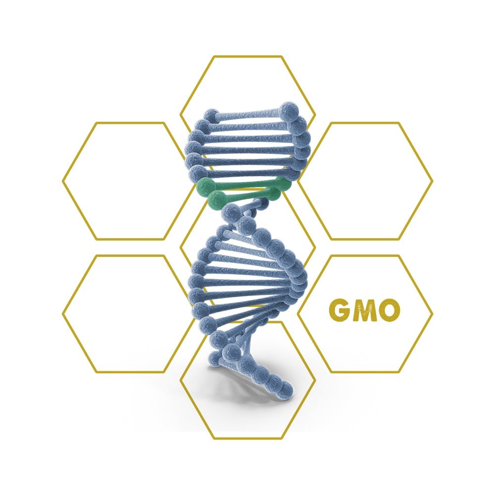 Gene - Drive | GMO - Upgrade Cube - LuminoSana