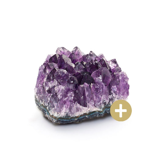 Genius Plus Service for your Crystal - LuminoSana