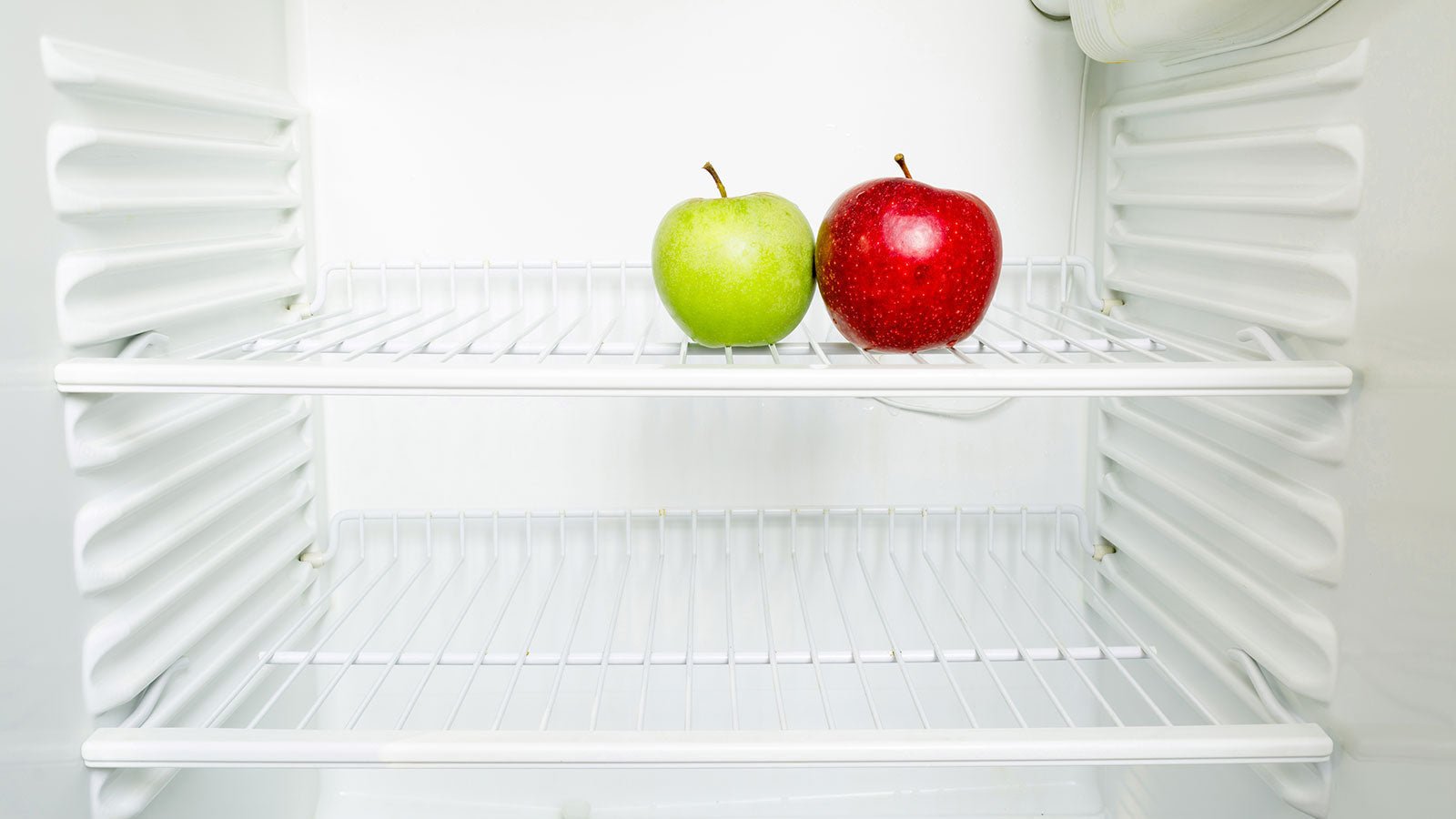 Genius Plus Service for your Refrigerator - LuminoSana