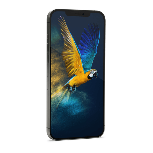 Genius Service for your Smartphone - LuminoSana