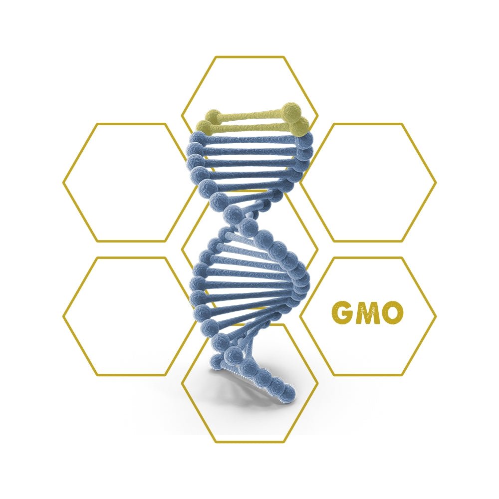 Herbicide resistance | GMO - Upgrade Cube - LuminoSana