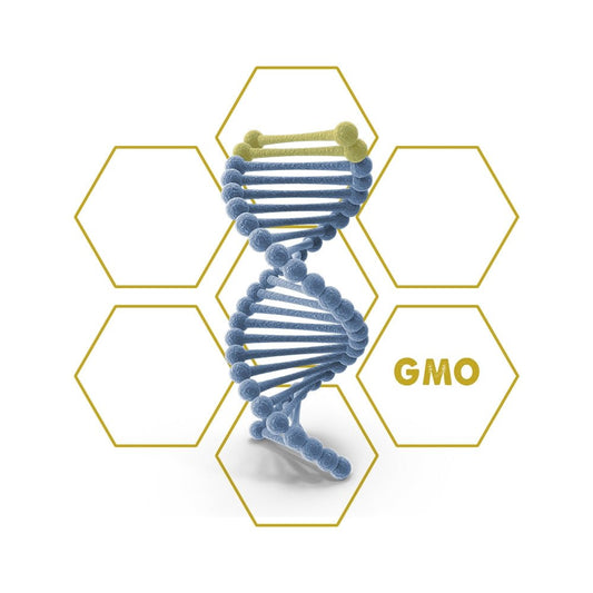 Herbicide resistance | GMO - Upgrade Cube - LuminoSana