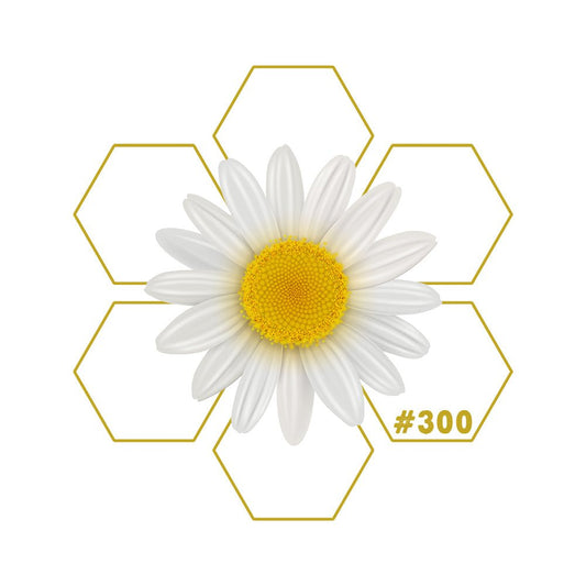 LULLABY | Sleep | Add - on #300 - LuminoSana