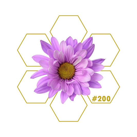 MOMENTUM | Motivation | Add - on #200 - LuminoSana