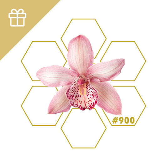 PROTECTION SHIELD 1.0 | Add - on #900 - LuminoSana