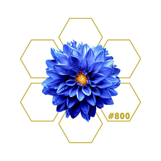 SANCTUARY | Resort | Add - on #800 - LuminoSana