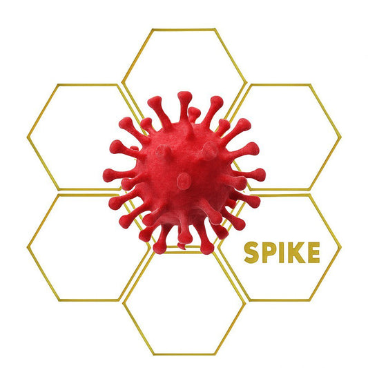 SPIKE PROTEIN | Add - On 2100 | Sphere only - LuminoSana