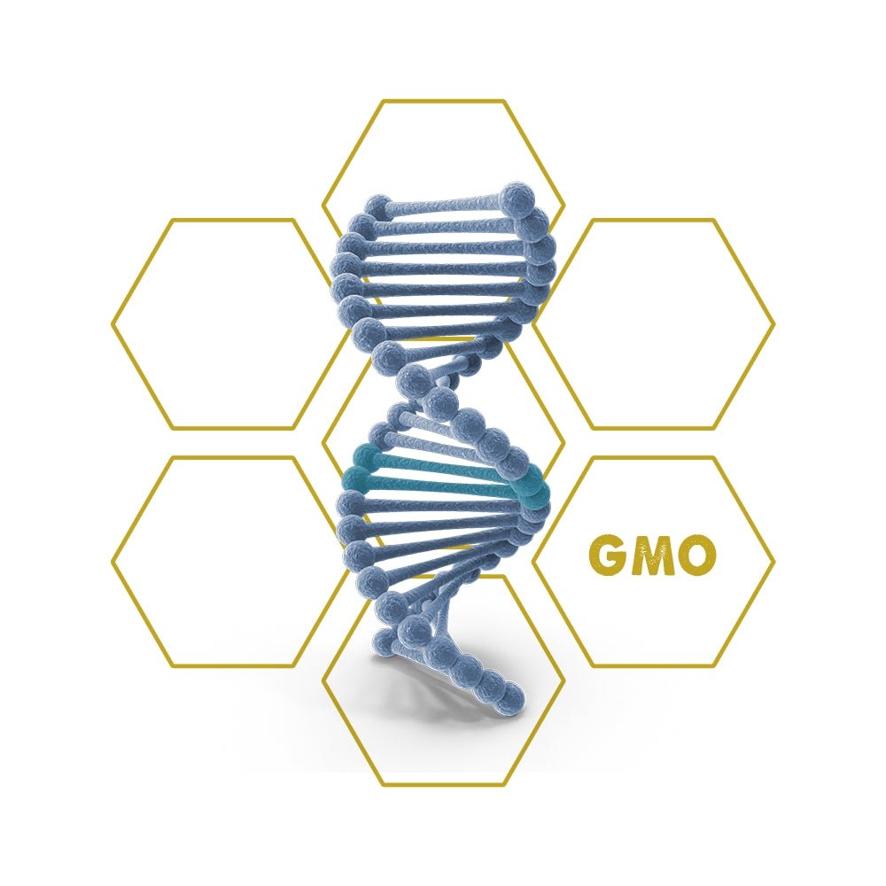 Synthetic - Biology | GMO - Upgrade Cube - LuminoSana