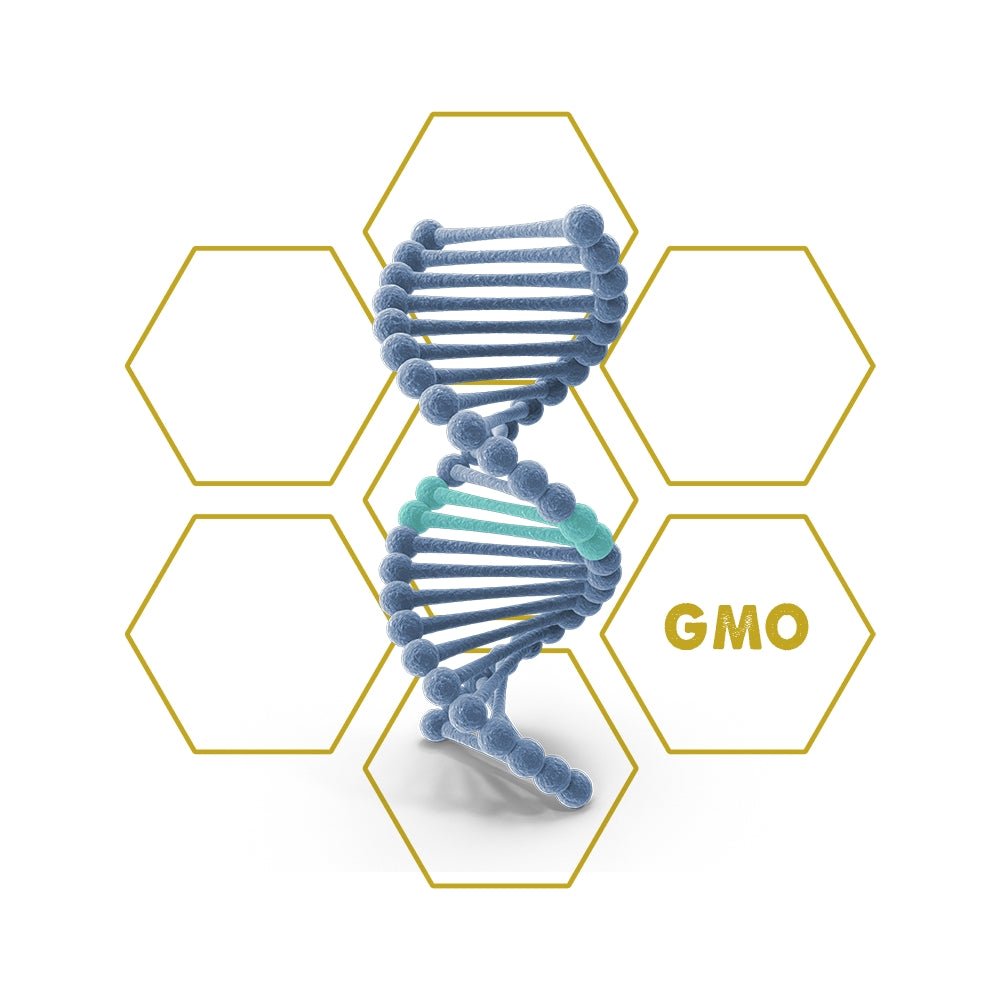 VIP - Protein | GMO - Upgrade Cube - LuminoSana