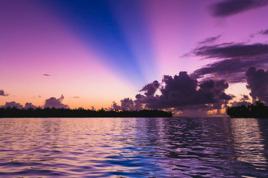 The Gateway to Oneness with the Universe - LuminoSana