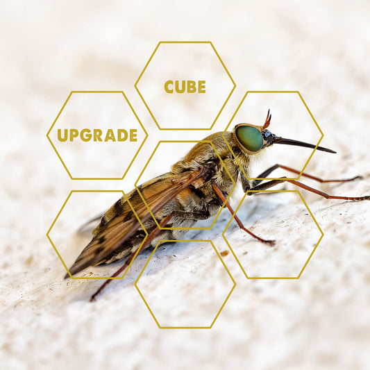 Insect-Bloodsucker | Upgrade Cube