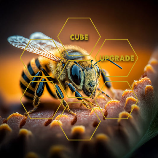 Bienen- & Wespengift| Upgrade Cube