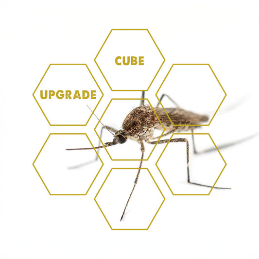 Mosquito-Bite | Upgrade Cube
