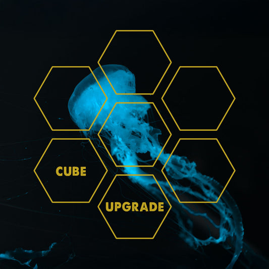Jellyfish-Venom | Upgrade Cube