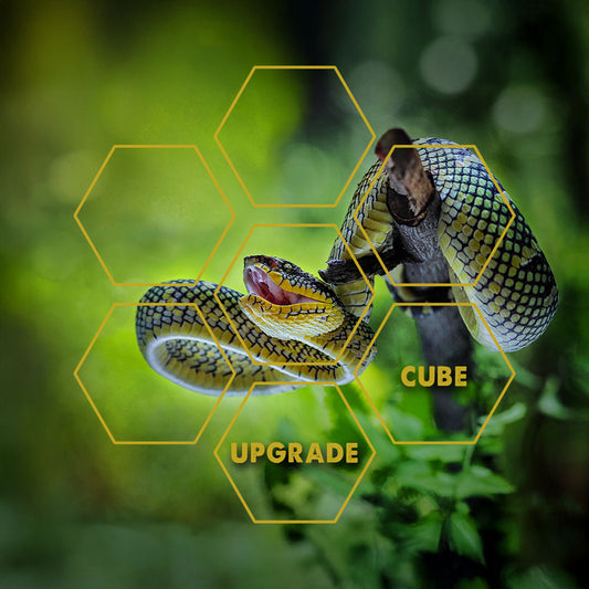 Snake Venom | Upgrade Cube