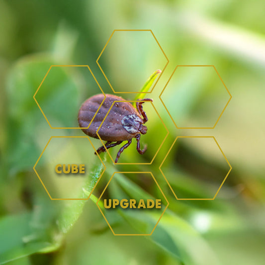 Mite & Tick | Upgrade Cube