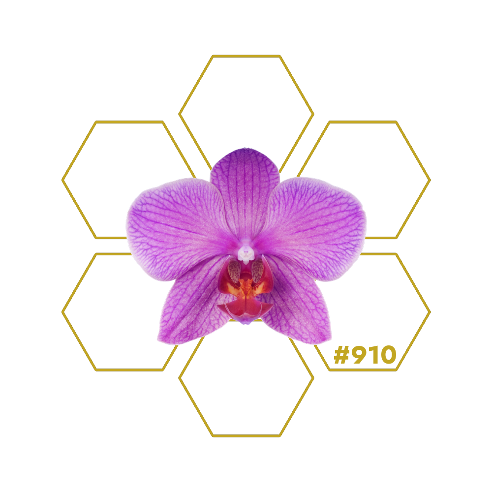 ACTIVE SHAPE 2.0 Add-on 910 LuminoSana