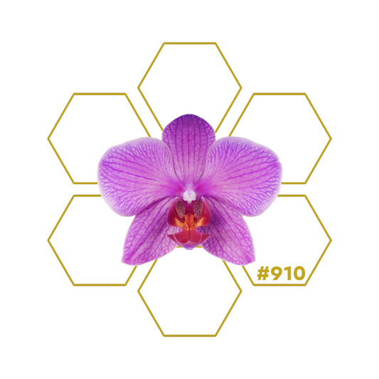 ACTIVE SHAPE 2.0 Add-on 910 LuminoSana