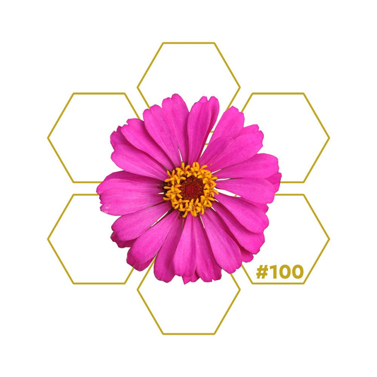 ESPRESSO Caffeine Add-on 100 LuminoSana