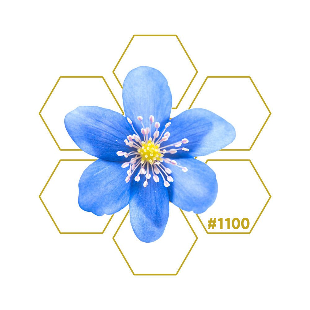WATER Add-On 1100 LuminoSana