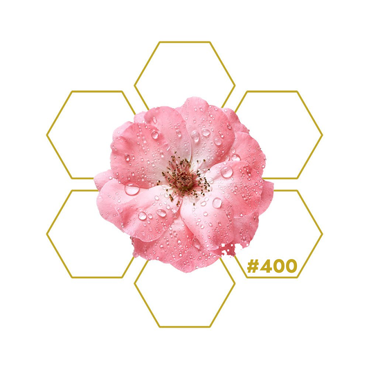 ABUNDANCE Wealth Add-on 400 LuminoSana