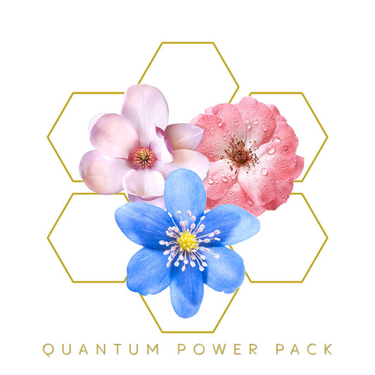 Quantum Power Pack (Add-On Bundle)