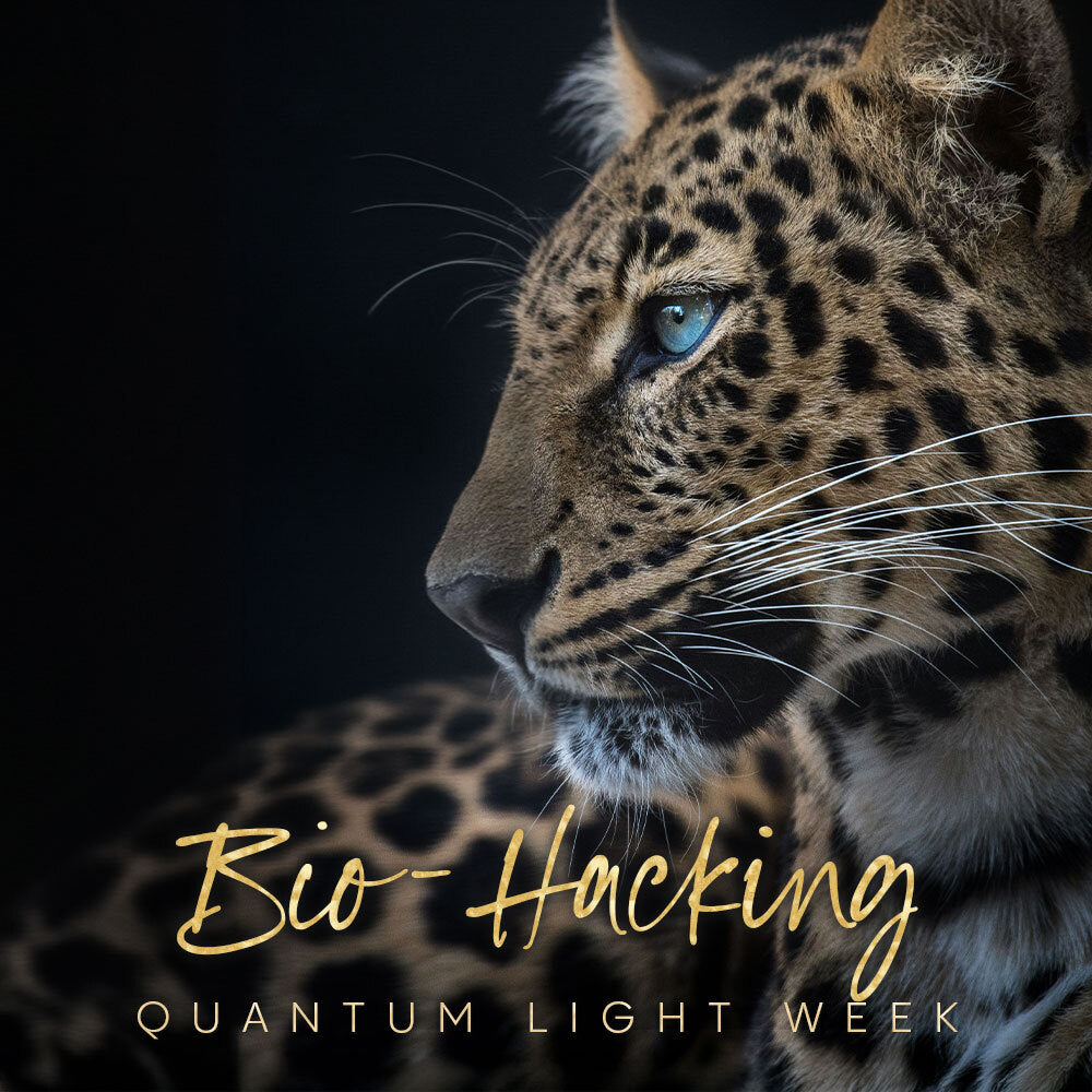 Quantum Performance Bundle (Biohacking)