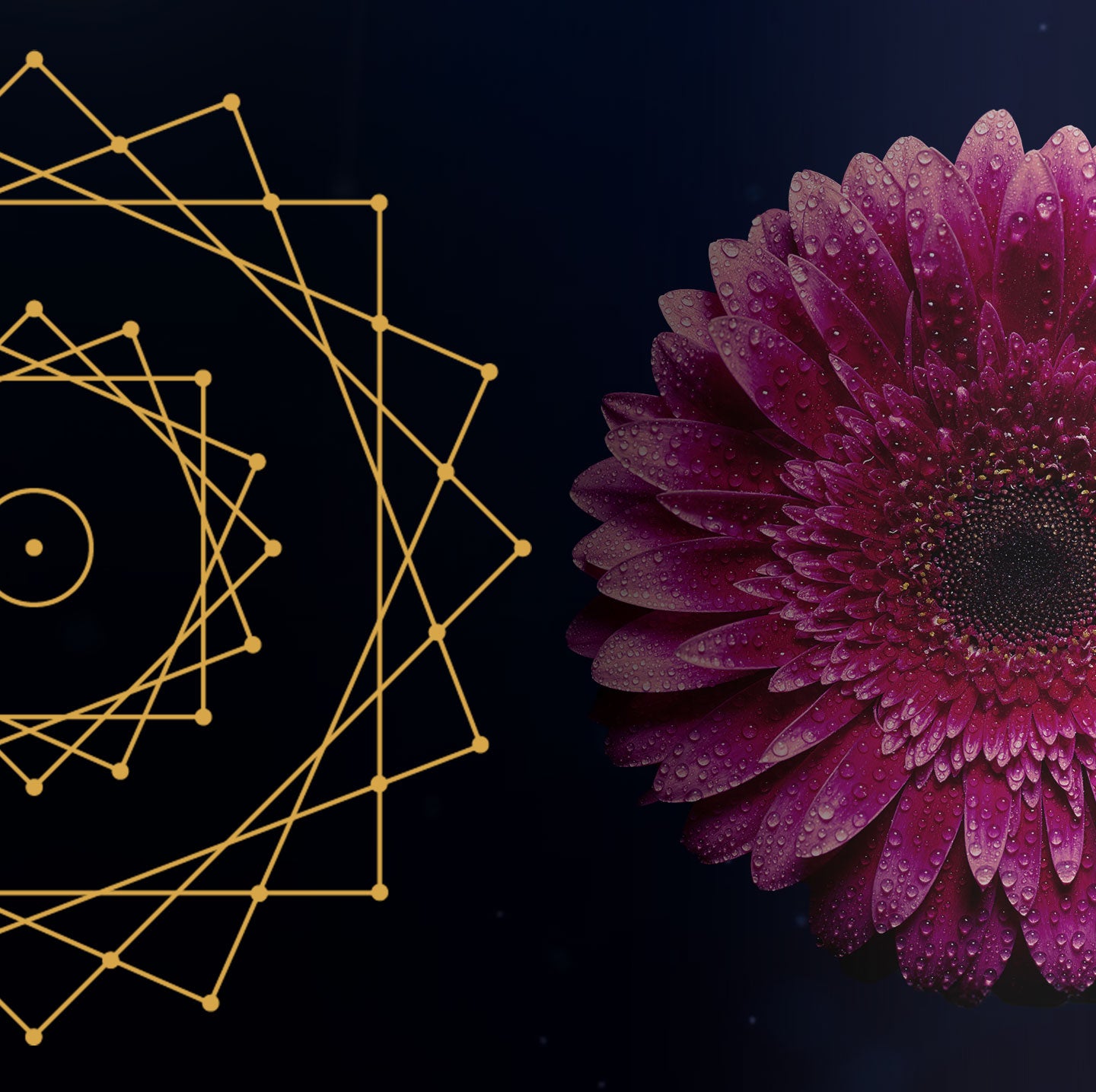 Forschungsgruppe - Warteliste (Anzahlung)