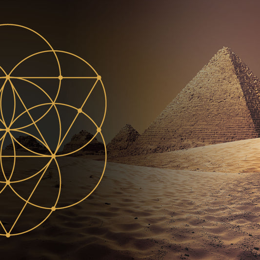 Coding Slot - Genius Plus