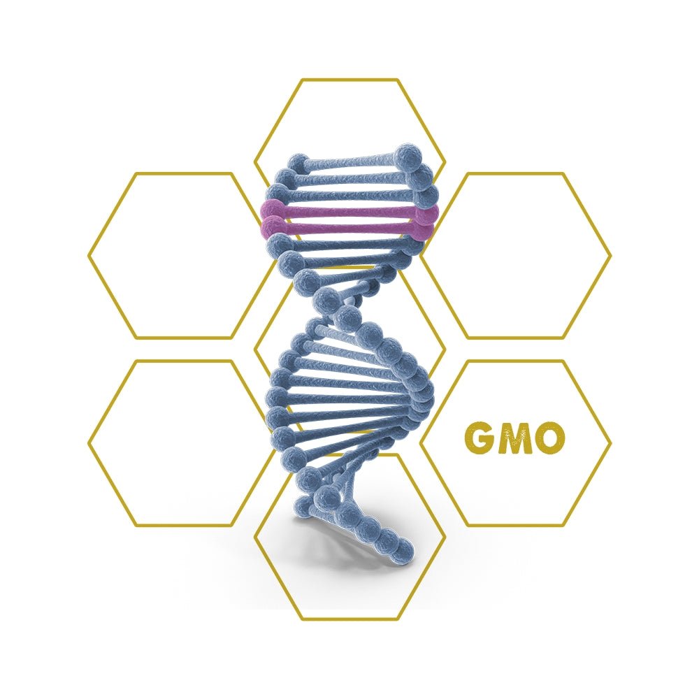CRISPR Gene - Editing | GMO - Upgrade Cube - LuminoSana