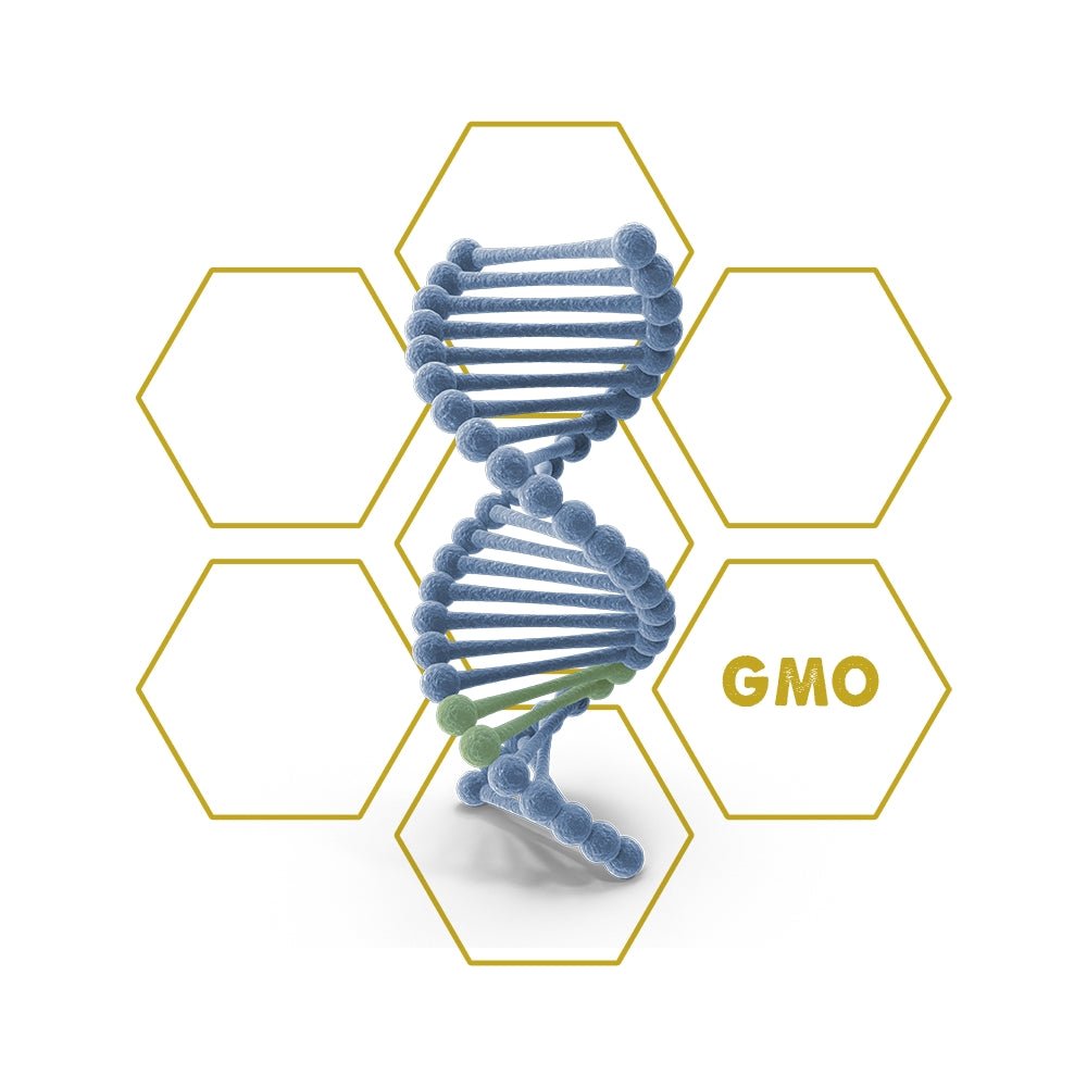 Disease - Resistance - Animal | GMO - Upgrade Cube - LuminoSana