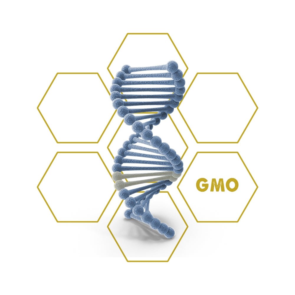 Fungal - Resistance | GMO - Upgrade Cube - LuminoSana