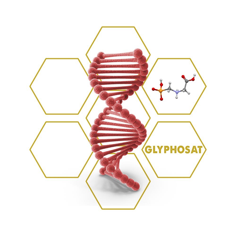 Glyphosat Upgrade Cube - LuminoSana