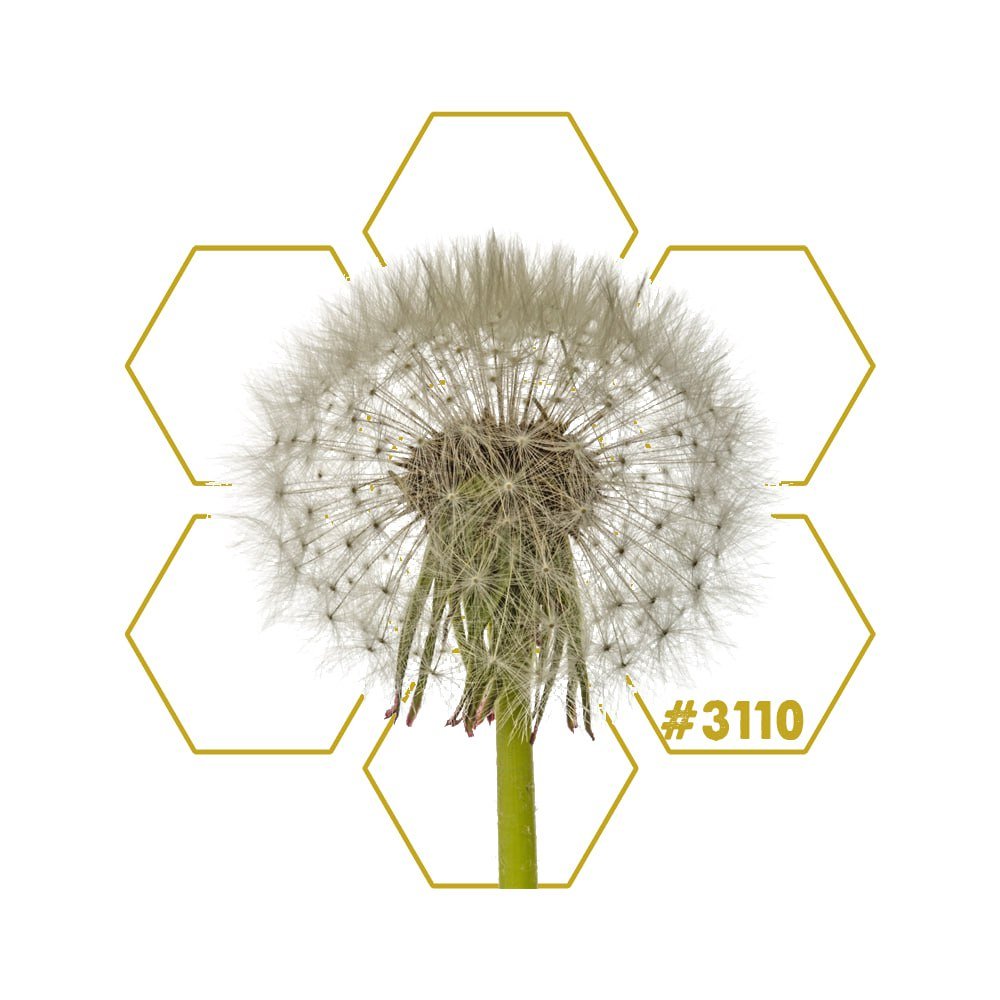 POLLEN | Add - On 3110 - LuminoSana