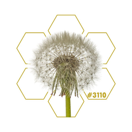 POLLEN | Add - On 3110 - LuminoSana